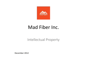 Mad Fiber Inc.