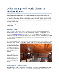 Cedar Lining – Old World Charm in Modern Homes