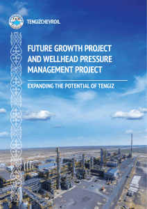 FUTURE GROWTH PROJECT AND WELLHEAD PRESSURE