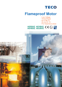 Catalogue Harzardous Environment Motor