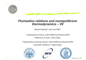 Fluctuation relations and nonequilibrium