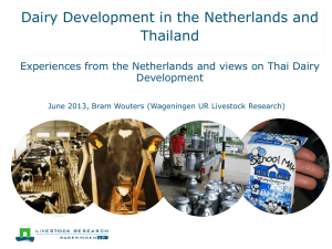 Dairy Development in the Netherlands and Thailand