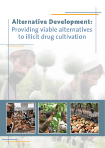 Providing viable alternatives to illicit drug cultivation