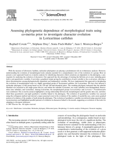 Assessing phylogenetic dependence of morphological traits using