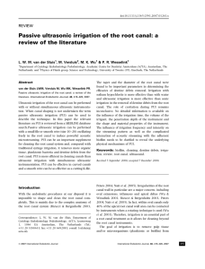 Passive ultrasonic irrigation of the root canal: a review of the literature