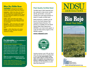 Rio Rojo - NDSU Research Foundation