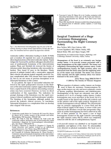 Surgical Treatment of a Huge Cavernous Hemangioma Surrounding