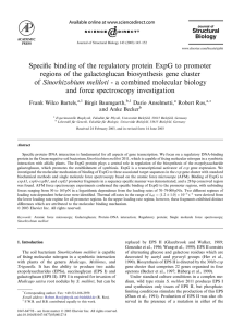 Specific binding of the regulatory protein ExpG to promoter regions