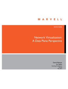 Network Virtualization: A Data Plane Perspective