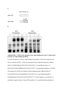 Additional file 3 – Effect of the mutation of one AdpA