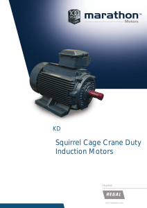 Squirrel Cage Crane Duty Induction Motors