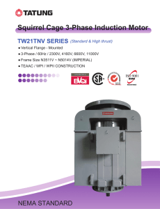 Squirrel Cage 3-Phase Induction Motor