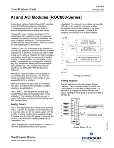 AI and AO Modules (ROC800-Series)