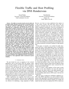 Flexible Traffic and Host Profiling via DNS Rendezvous