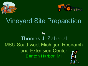 Vineyard Site Preparation - MSU Extension