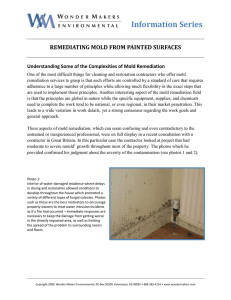 Remediating Mold from Painted Surfaces