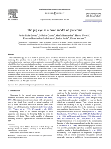 The pig eye as a novel model of glaucoma