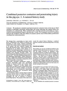 Combined posterior contusion and penetrating injury in the pig eye. I