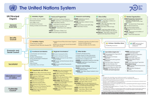 The UN System