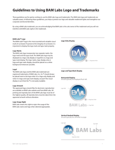 Guidelines to Using BAM Labs Logo and Trademarks