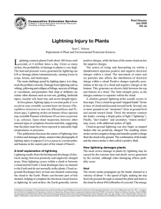 Lightning Injury to Plants