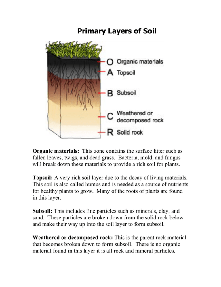 decayed-organic-material-in-soil-is-called