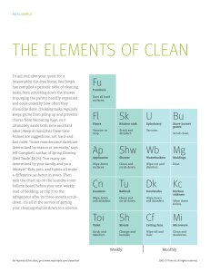 Elements of Clean
