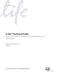 E-Gel® Technical Guide - Thermo Fisher Scientific