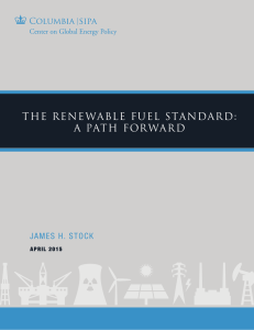 THE RENEWABLE FUEL STANDARD: A PATH FORWARD