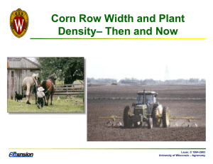 Corn Row Width and Plant Density– Then and Now