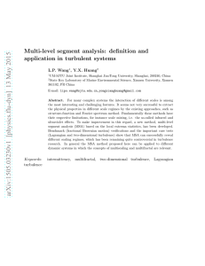 Multi-level segment analysis: definition and application in turbulent