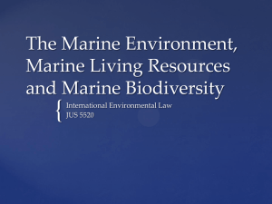 The Marine Environment, Marine Living Resources and Marine