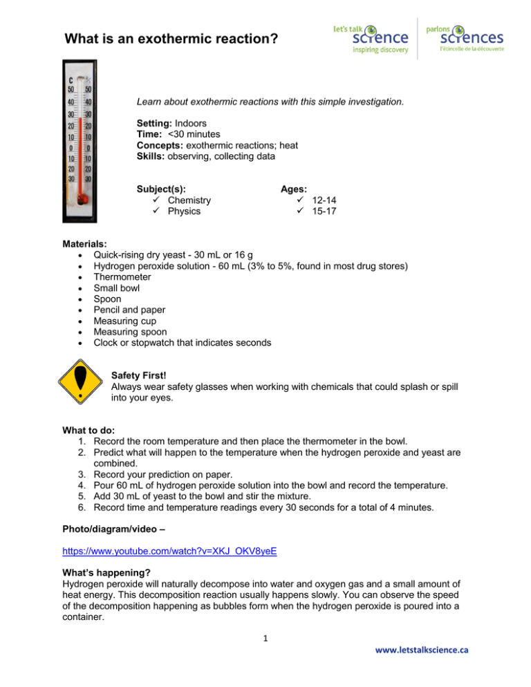 What Is An Exothermic Reaction 