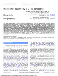 Black–white asymmetry in visual perception