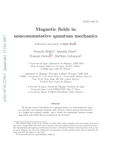 Magnetic fields in noncommutative quantum mechanics