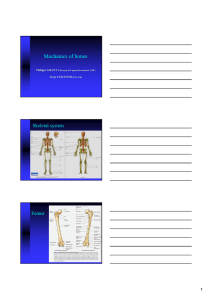 Mechanics of bones