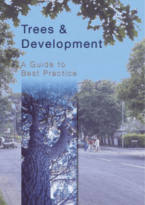 Trees and Development - A Guide to Best Practice