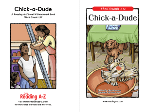 Chick-a-Dude