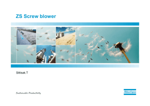 ZS Screw blower