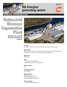 Rothschild Biomass Cogeneration Plant