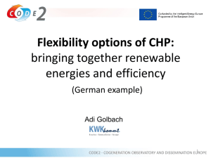 Flexibility options of CHP