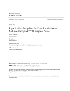 Quantitative Analysis of the Functionalization of Gallium Phosphide