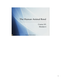 The Human Animal Bond