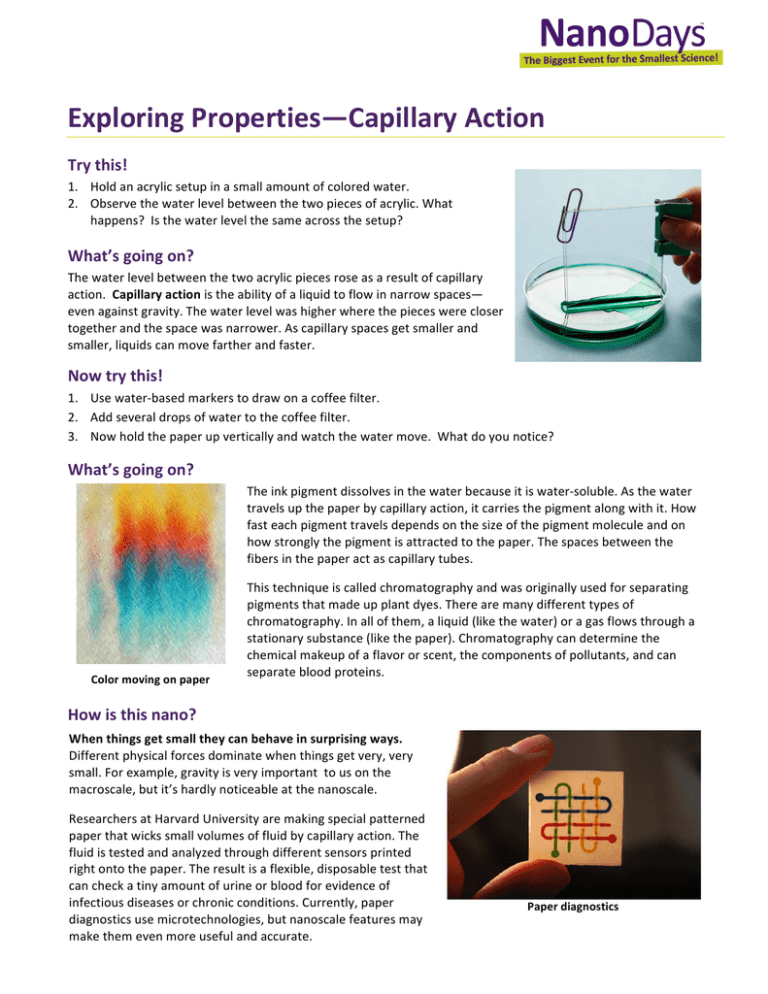 research paper on capillary action