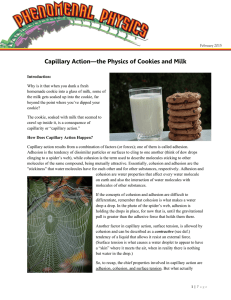Capillary Action—the Physics of Cookies and Milk