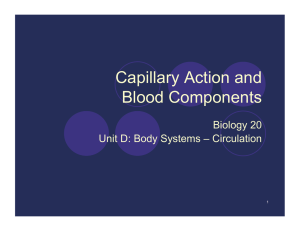 Capillary Action and Blood Components