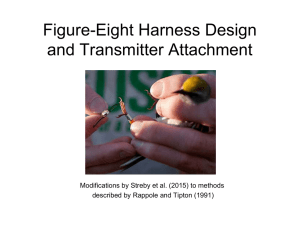 Streby et al. Harness Design and Transmitter Attachment