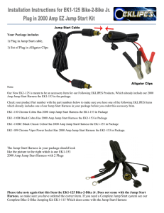 Your Package includes 1) Plug in Jump Start cable, 1) Set of Plug in