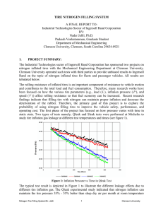 TIRE NITROGEN FILLING SYSTEM