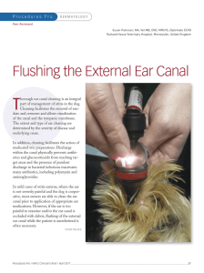 Flushing the External Ear Canal